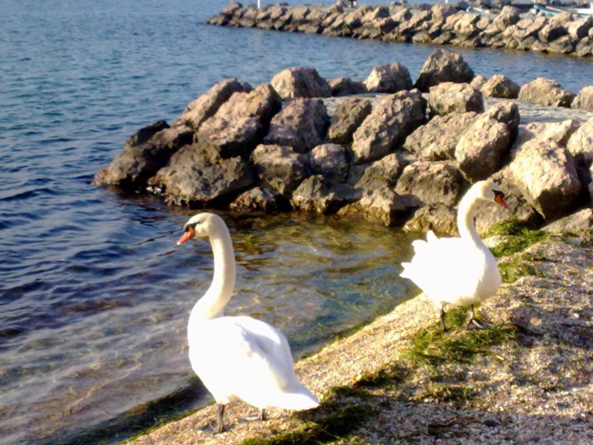 Residenza Al Sogno - On Lake Garda Cavaion Veronese Bagian luar foto